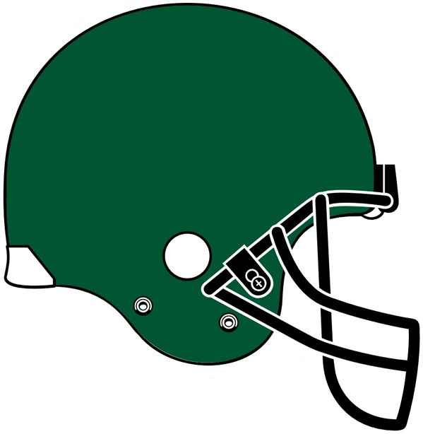 Tulane Green Wave 2005 Helmet Logo diy fabric transfers